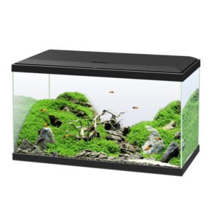 Home pulses from organic farm