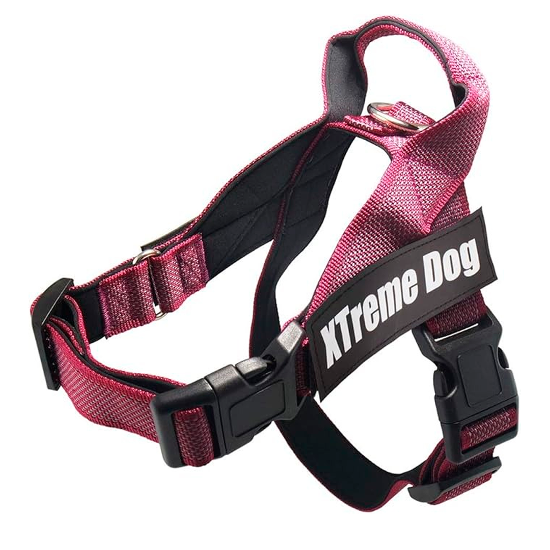 xtremedogversionpeques xtremedogversionpeques